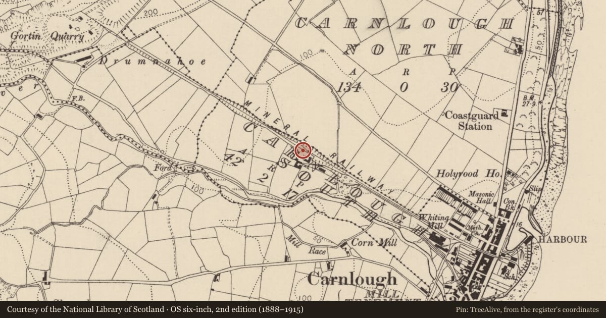 Ordnance Survey six-inch map, 2nd edition (1888–1915) covering the location of Lime Kilns, Carnlough South, Mid and East Antrim, with a pin at the register's coordinates