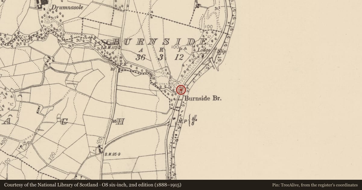 Ordnance Survey six-inch map, 2nd edition (1888–1915) covering the location of Burnside Bridge, Mid and East Antrim, with a pin at the register's coordinates