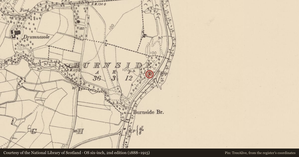 Ordnance Survey six-inch map, 2nd edition (1888–1915) covering the location of Lodge and gate screen to Drumnasole House, Burnside, Mid and East Antrim, with a pin at the register's coordinates