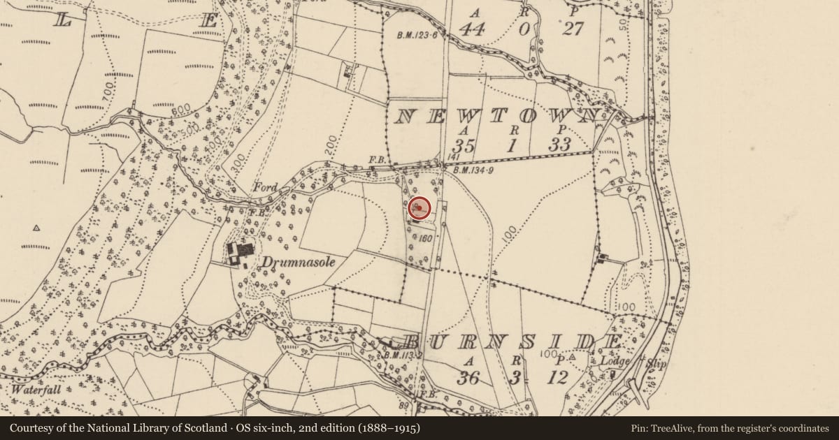 Ordnance Survey six-inch map, 2nd edition (1888–1915) covering the location of Drumnasole School, Mid and East Antrim, with a pin at the register's coordinates