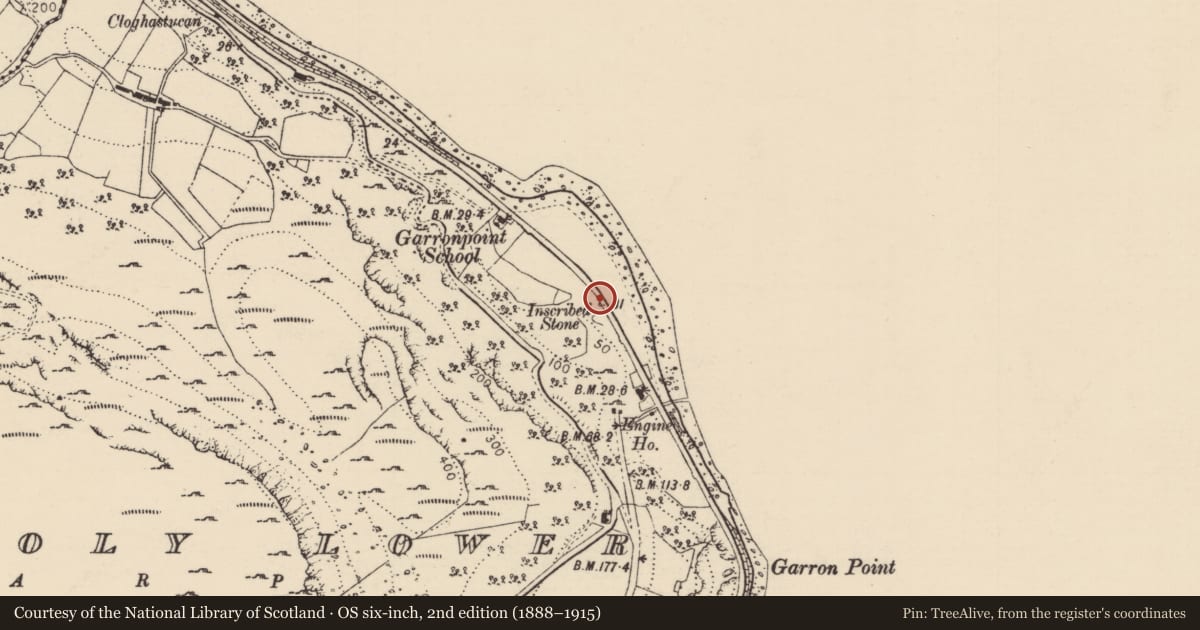 Ordnance Survey six-inch map, 2nd edition (1888–1915) covering the location of Inscribed Stone, Galboly Lower, Mid and East Antrim, with a pin at the register's coordinates