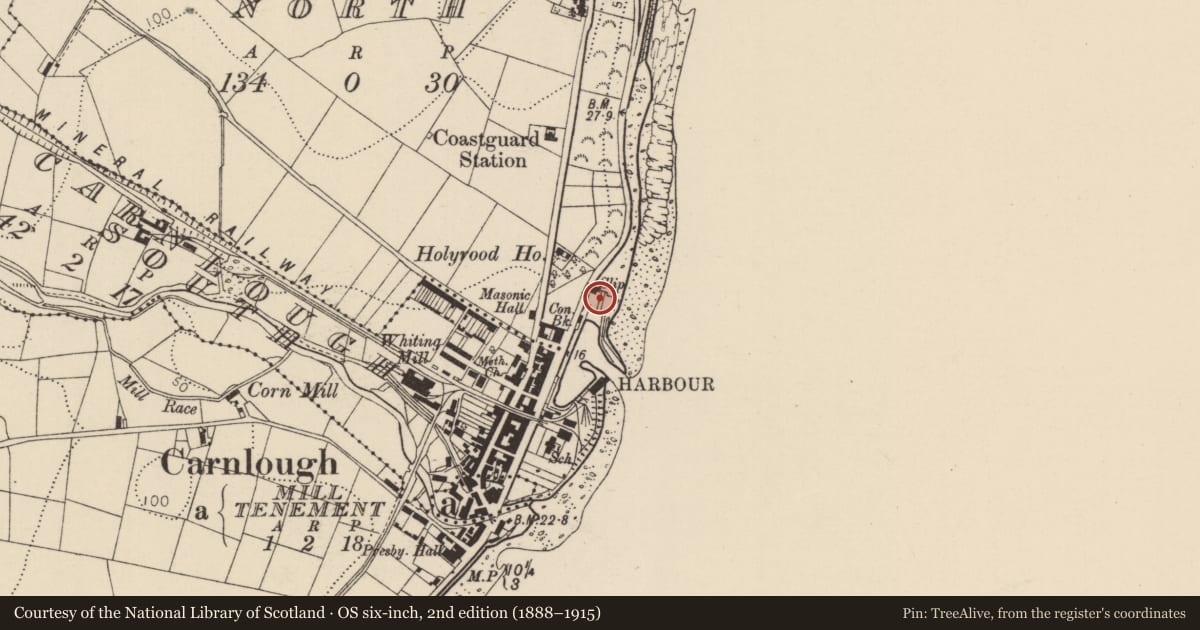 Ordnance Survey six-inch map, 2nd edition (1888–1915) covering the location of Carnlough Harbour, Carnlough South, Mid and East Antrim, with a pin at the register's coordinates