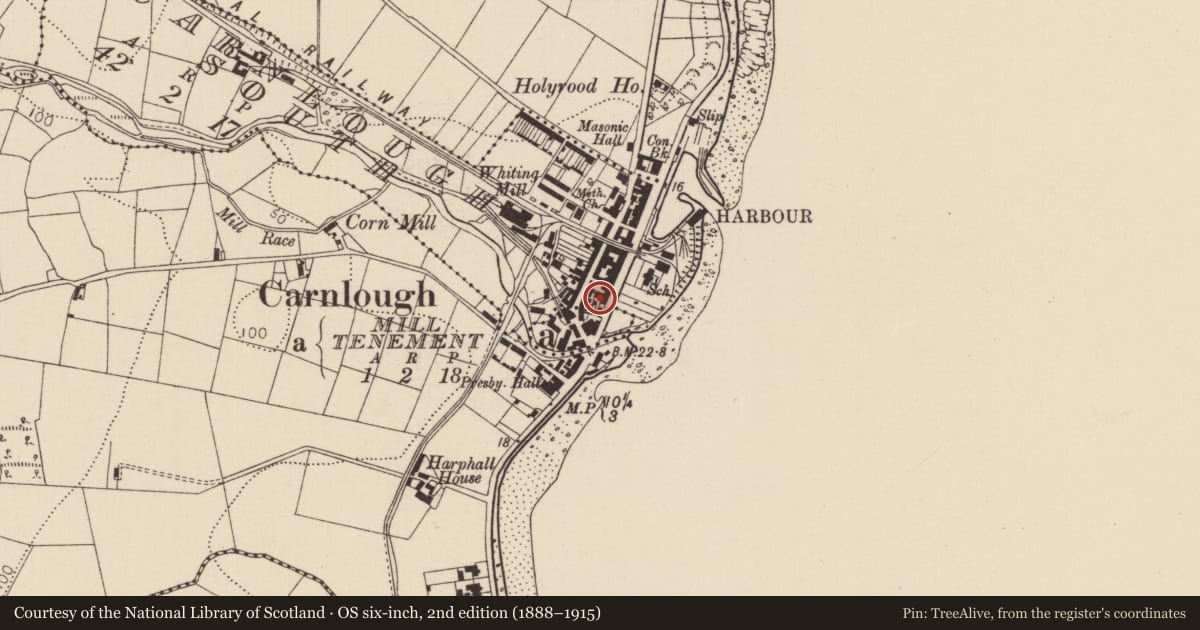 Ordnance Survey six-inch map, 2nd edition (1888–1915) covering the location of Former Glenbay Hotel, Carnlough South, Mid and East Antrim, with a pin at the register's coordinates