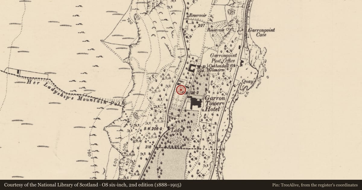 Ordnance Survey six-inch map, 2nd edition (1888–1915) covering the location of St MacNissi’s College Chapel, Galboly Lower, Mid and East Antrim, with a pin at the register's coordinates