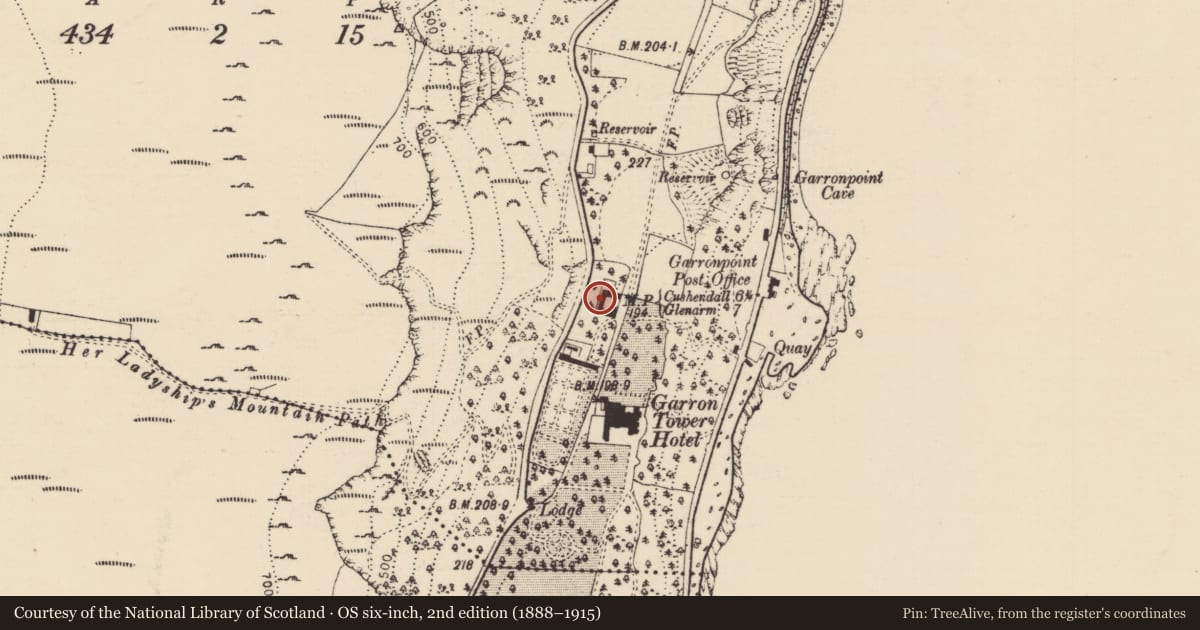Ordnance Survey six-inch map, 2nd edition (1888–1915) covering the location of St Joseph's Building, Galboly Lower, Mid and East Antrim, with a pin at the register's coordinates