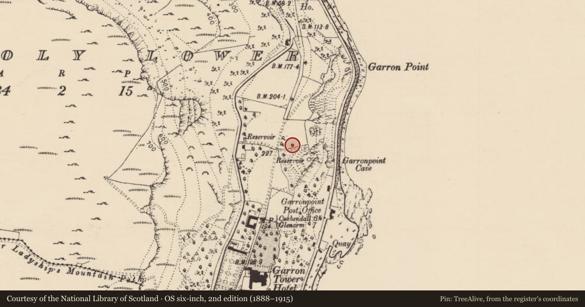 Ordnance Survey six-inch map, 2nd edition (1888–1915) covering the location of Ice House on Dunmaul Promontory Fort, Galboly Lower, Mid and East Antrim, with a pin at the register's coordinates