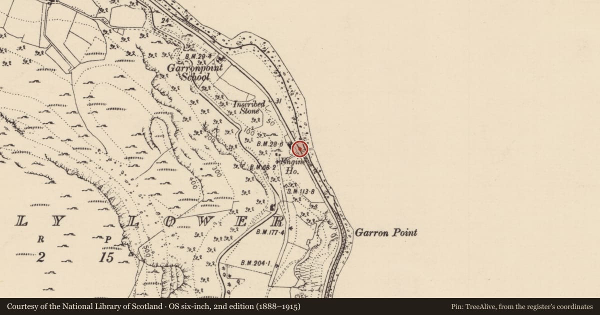Ordnance Survey six-inch map, 2nd edition (1888–1915) covering the location of Bridge at Garron Point, Galboly Lower, Mid and East Antrim, with a pin at the register's coordinates