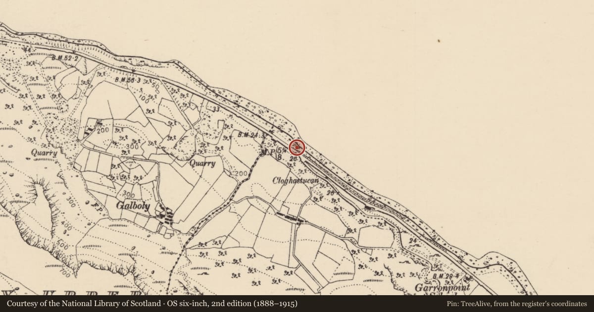 Ordnance Survey six-inch map, 2nd edition (1888–1915) covering the location of Milepost, Galboly Lower, Mid and East Antrim, with a pin at the register's coordinates