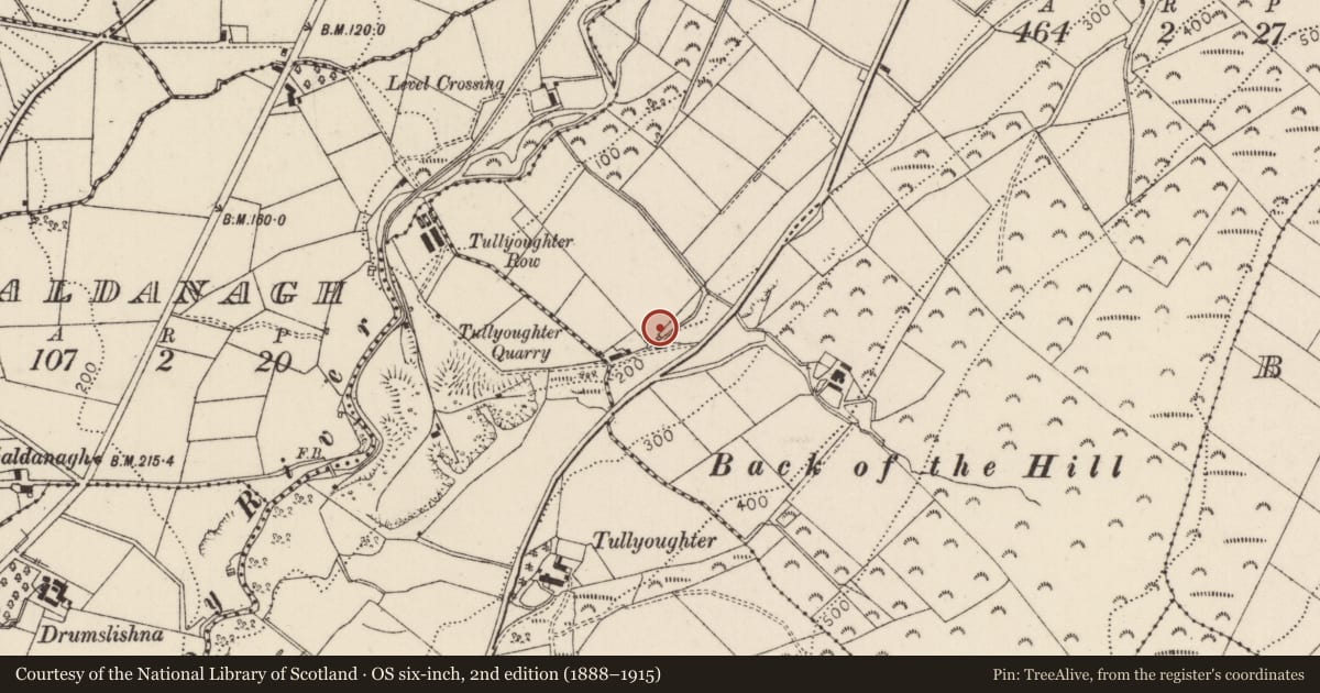 Ordnance Survey six-inch map, 2nd edition (1888–1915) covering the location of Lime Kiln, Bay, Mid and East Antrim, with a pin at the register's coordinates