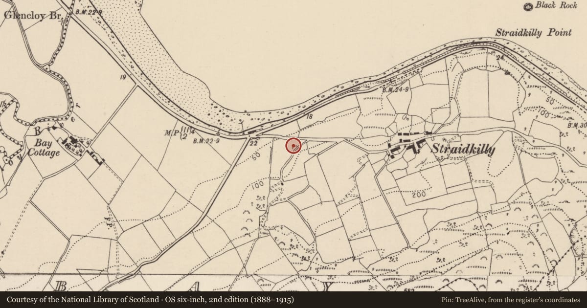 Ordnance Survey six-inch map, 2nd edition (1888–1915) covering the location of Lime Kiln, Bay, Mid and East Antrim, with a pin at the register's coordinates
