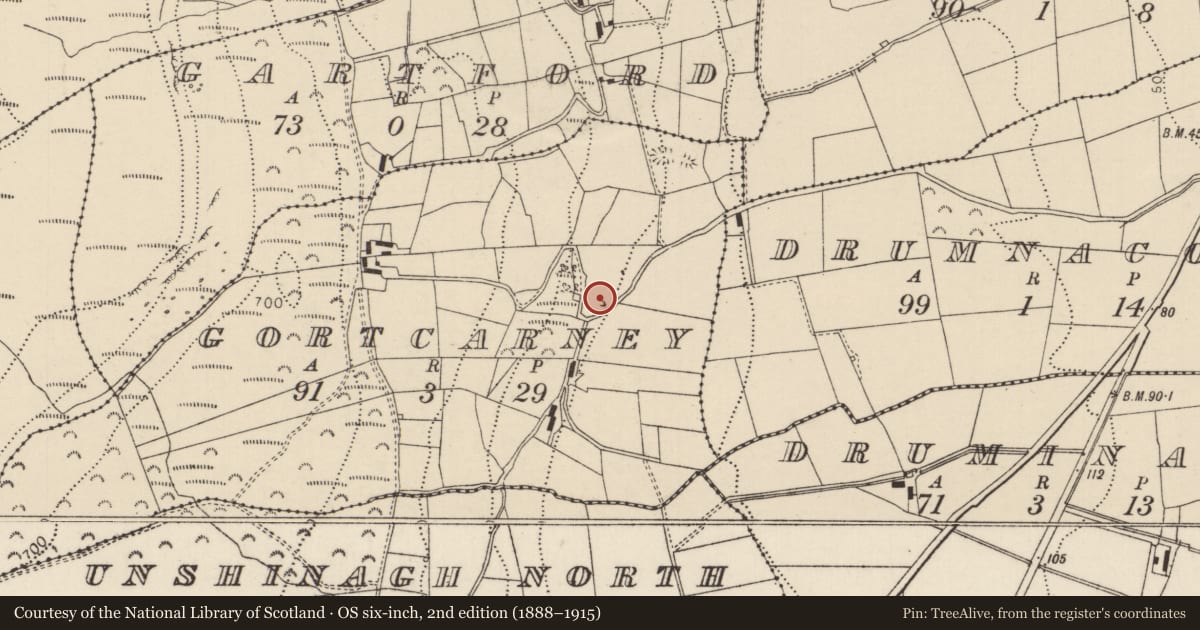 Ordnance Survey six-inch map, 2nd edition (1888–1915) covering the location of Lime Kiln, Gortcarney, Mid and East Antrim, with a pin at the register's coordinates