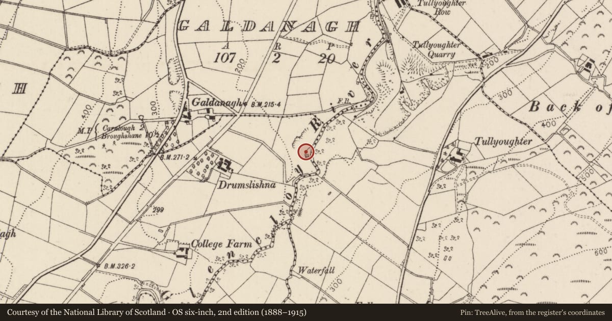 Ordnance Survey six-inch map, 2nd edition (1888–1915) covering the location of Lime Kiln, Aughareamlagh, Mid and East Antrim, with a pin at the register's coordinates