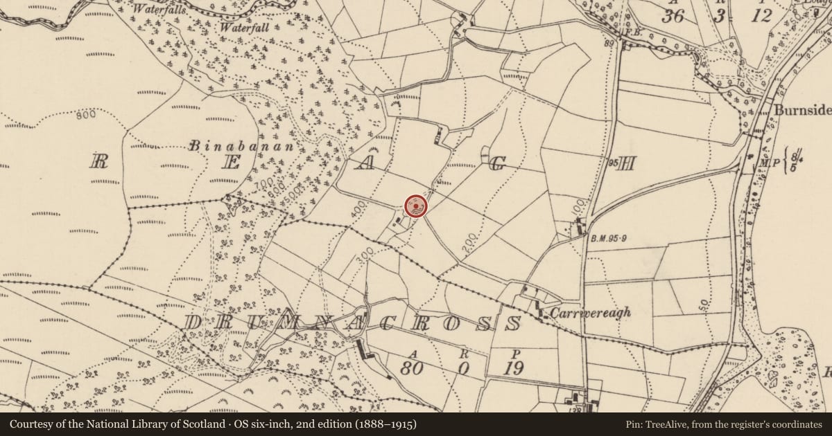 Ordnance Survey six-inch map, 2nd edition (1888–1915) covering the location of Lime Kiln, Carrivereagh, Mid and East Antrim, with a pin at the register's coordinates