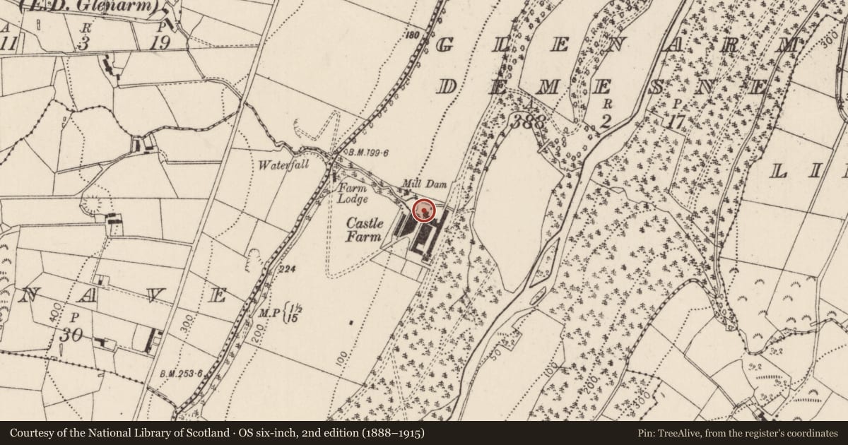 Ordnance Survey six-inch map, 2nd edition (1888–1915) covering the location of Former Saw Miller's house, Glenarm Demesne, Mid and East Antrim, with a pin at the register's coordinates