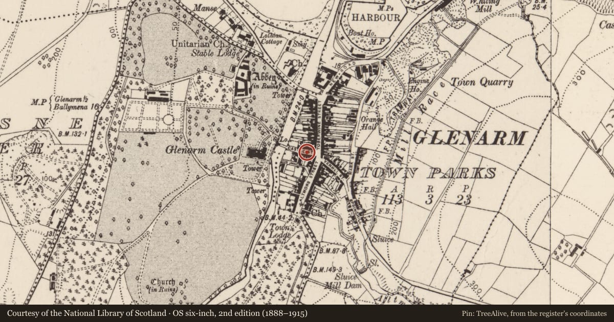 Ordnance Survey six-inch map, 2nd edition (1888–1915) covering the location of 12 Castle Street, Glenarm Town Parks, Mid and East Antrim, with a pin at the register's coordinates