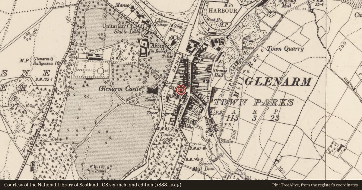 Ordnance Survey six-inch map, 2nd edition (1888–1915) covering the location of 14 Castle Street, Glenarm Town Parks, Mid and East Antrim, with a pin at the register's coordinates