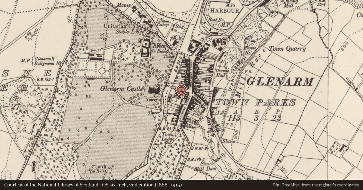 Ordnance Survey six-inch map, 2nd edition (1888–1915) covering the location of 16 Castle Street, Glenarm Town Parks, Mid and East Antrim, with a pin at the register's coordinates