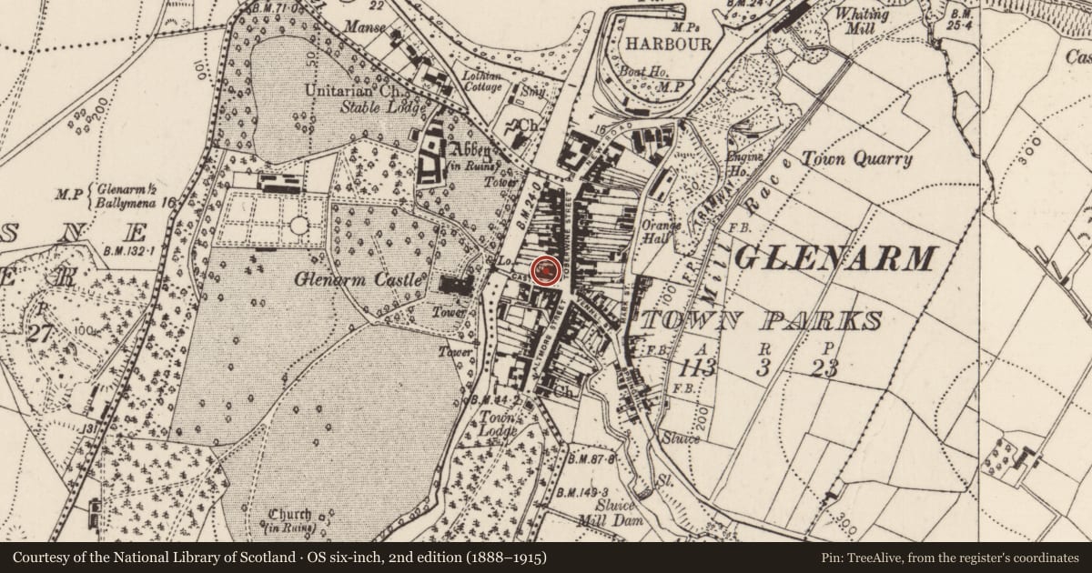 Ordnance Survey six-inch map, 2nd edition (1888–1915) covering the location of 9 Castle Street, Glenarm Town Parks, Mid and East Antrim, with a pin at the register's coordinates