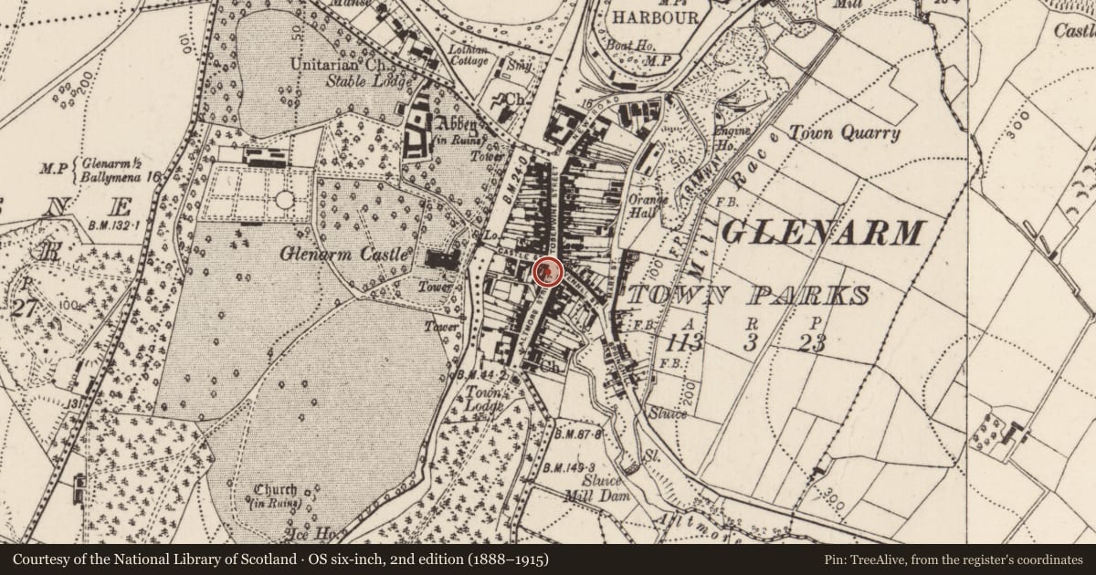 Ordnance Survey six-inch map, 2nd edition (1888–1915) covering the location of 5 Altmore Street, Glenarm Town Parks, Mid and East Antrim, with a pin at the register's coordinates