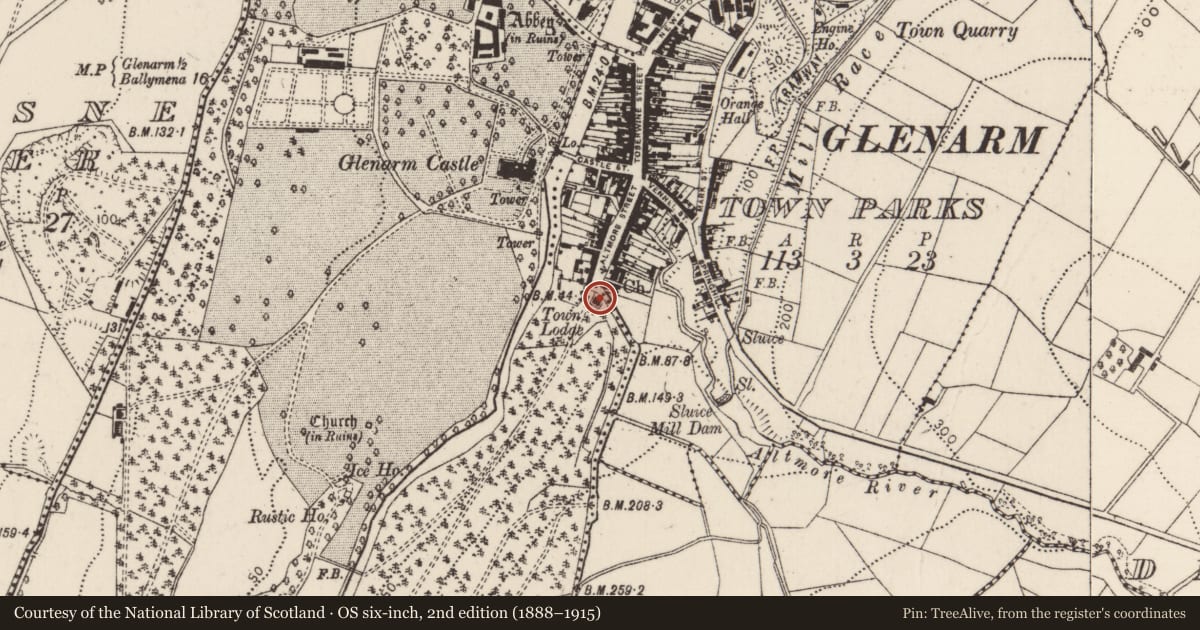 Ordnance Survey six-inch map, 2nd edition (1888–1915) covering the location of Town Lodge, Town Parks Glenarm, Mid and East Antrim, with a pin at the register's coordinates
