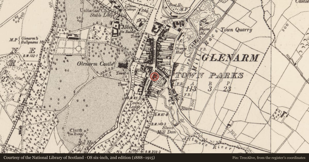 Ordnance Survey six-inch map, 2nd edition (1888–1915) covering the location of 10 Altmore Street, Glenarm Town Parks, Mid and East Antrim, with a pin at the register's coordinates