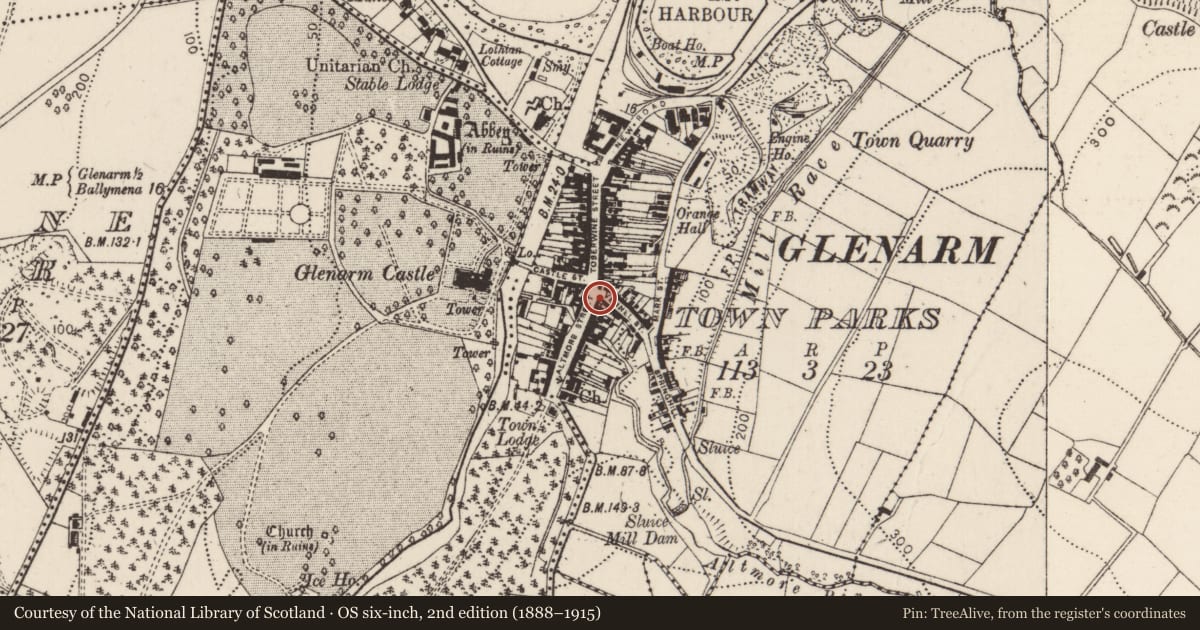 Ordnance Survey six-inch map, 2nd edition (1888–1915) covering the location of 2 Altmore Street, Glenarm Town Parks, Mid and East Antrim, with a pin at the register's coordinates