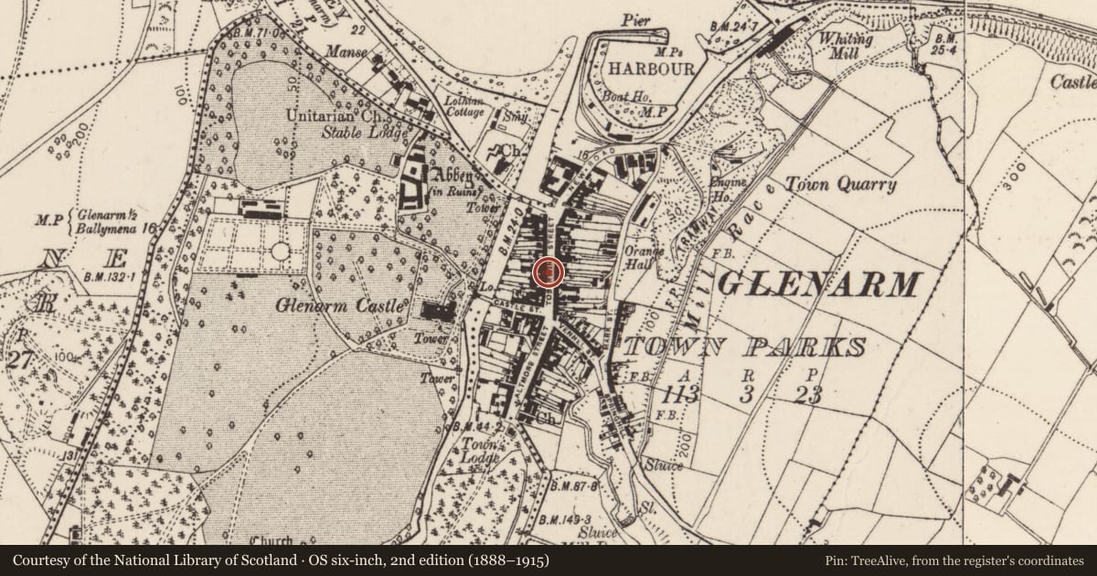 Ordnance Survey six-inch map, 2nd edition (1888–1915) covering the location of 29-31 Toberwine Street, Glenarm Town Parks, Mid and East Antrim, with a pin at the register's coordinates