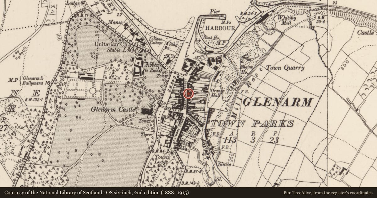 Ordnance Survey six-inch map, 2nd edition (1888–1915) covering the location of 40 Toberwine Street, Glenarm Town Parks, Mid and East Antrim, with a pin at the register's coordinates