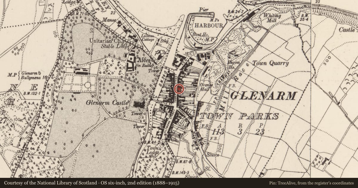 Ordnance Survey six-inch map, 2nd edition (1888–1915) covering the location of 42 Toberwine Street, Glenarm town parks, Mid and East Antrim, with a pin at the register's coordinates