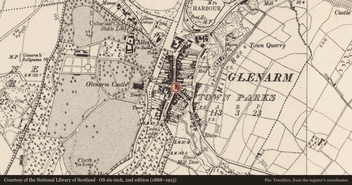 Ordnance Survey six-inch map, 2nd edition (1888–1915) covering the location of Former Belfast Bank, Glenarm Town Parks, Mid and East Antrim, with a pin at the register's coordinates