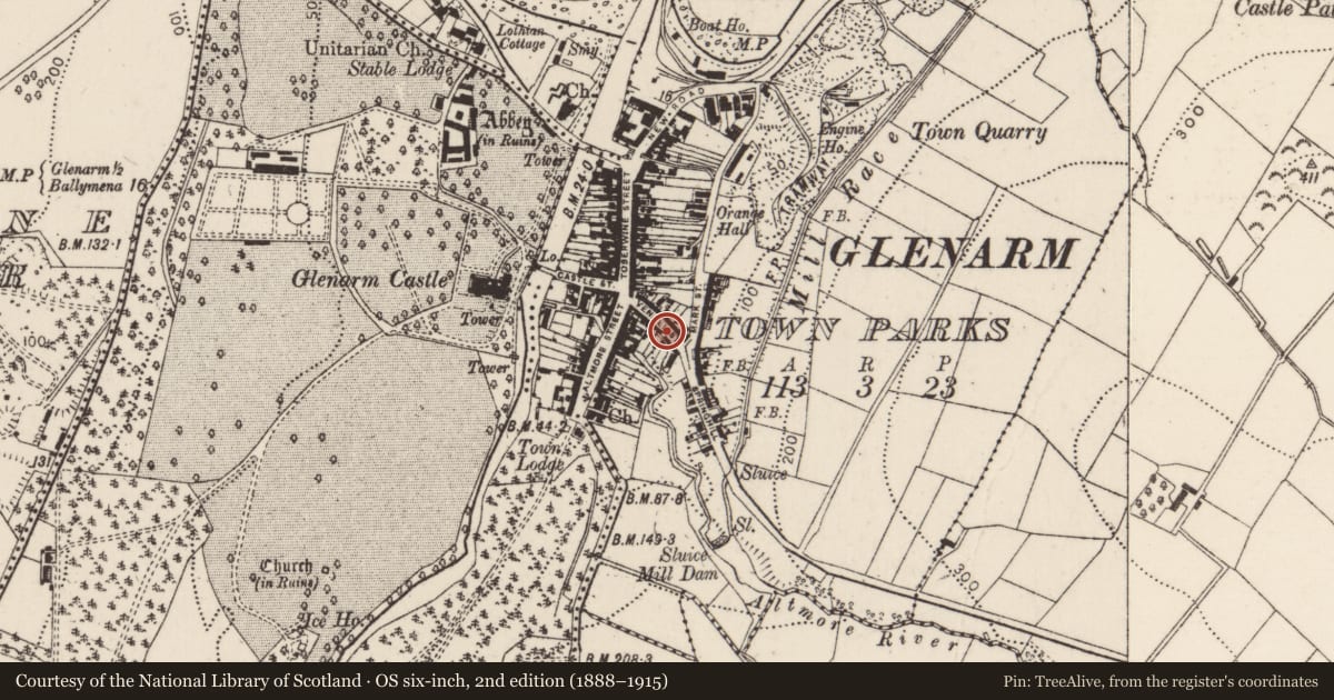 Ordnance Survey six-inch map, 2nd edition (1888–1915) covering the location of 15 Vennel Street (The Vennel), Glenarm Town Parks, Mid and East Antrim, with a pin at the register's coordinates