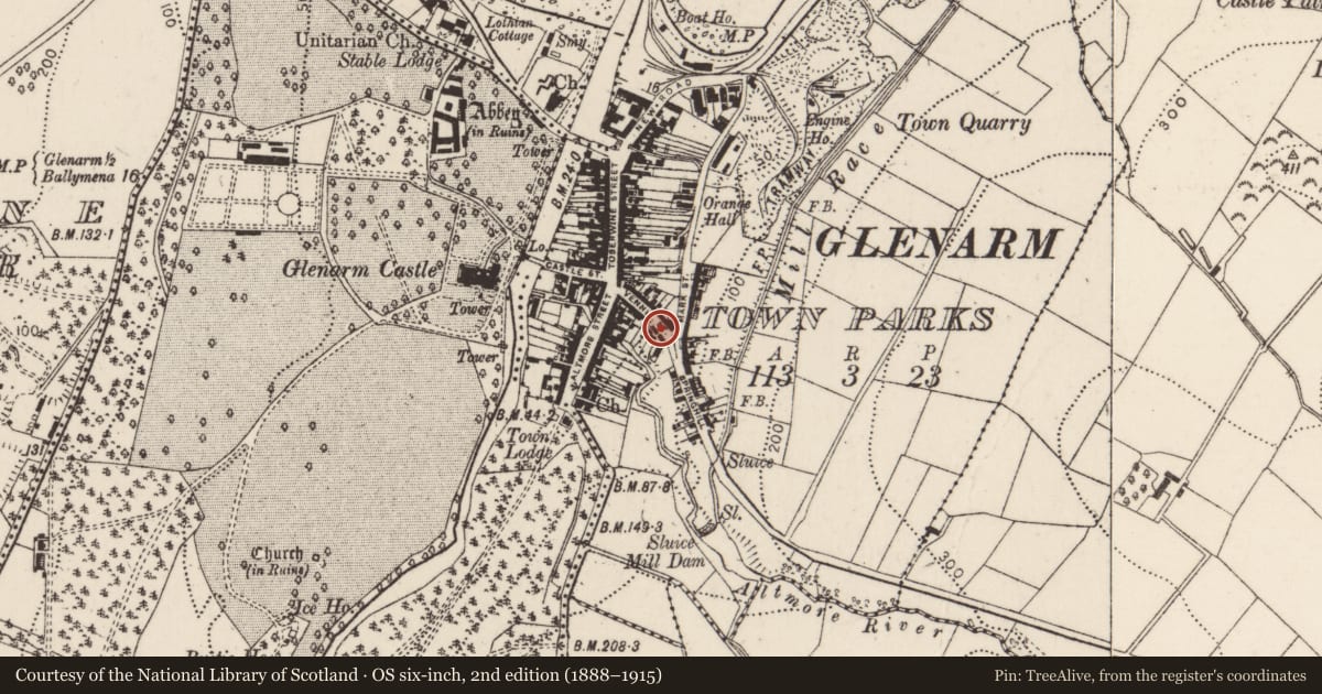 Ordnance Survey six-inch map, 2nd edition (1888–1915) covering the location of 19 Vennel Street (The Vennel), Glenarm Town Parks, Mid and East Antrim, with a pin at the register's coordinates