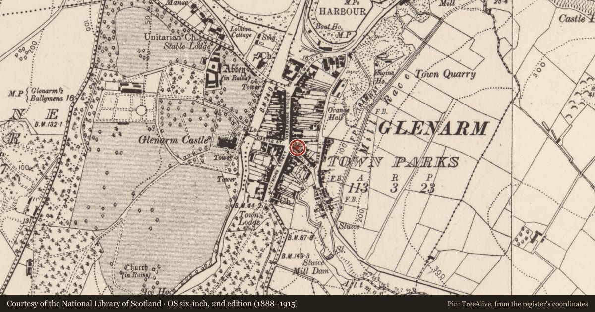 Ordnance Survey six-inch map, 2nd edition (1888–1915) covering the location of 6 The Vennel, Glenarm Town Parks, Mid and East Antrim, with a pin at the register's coordinates