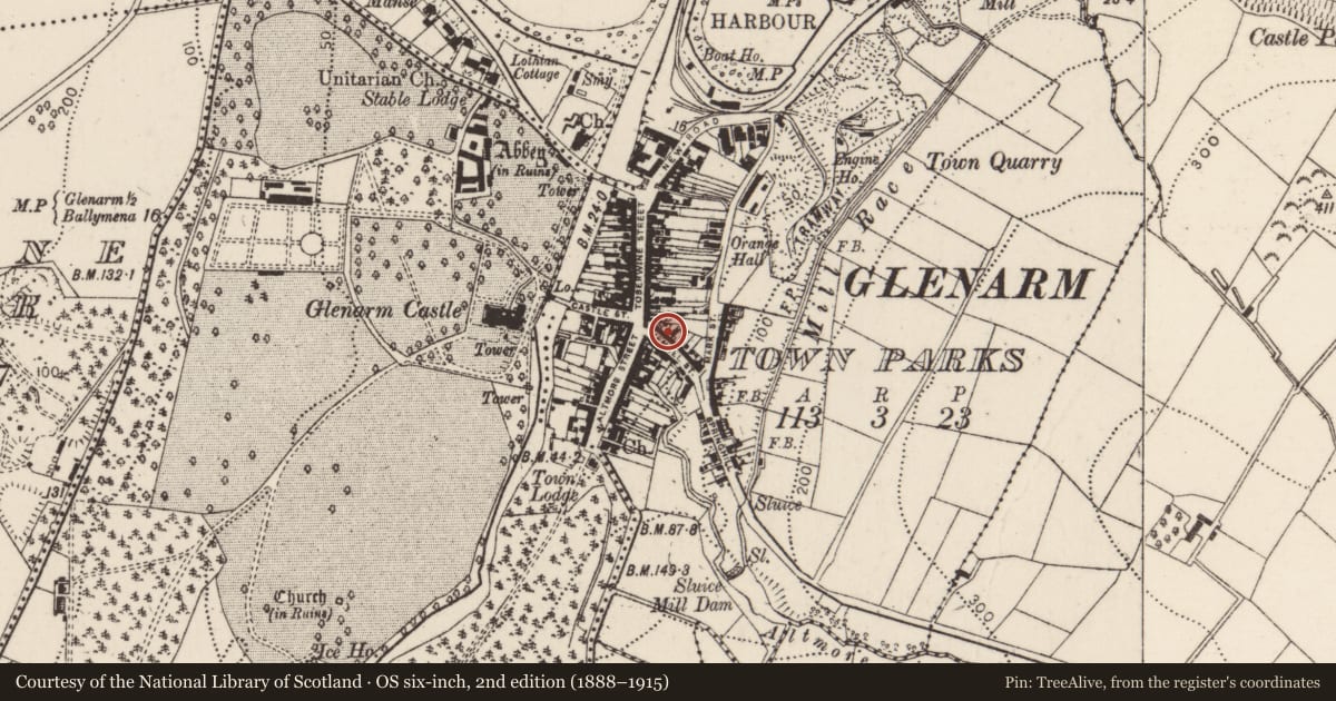 Ordnance Survey six-inch map, 2nd edition (1888–1915) covering the location of 8 The Vennel, Glenarm Town Parks, Mid and East Antrim, with a pin at the register's coordinates