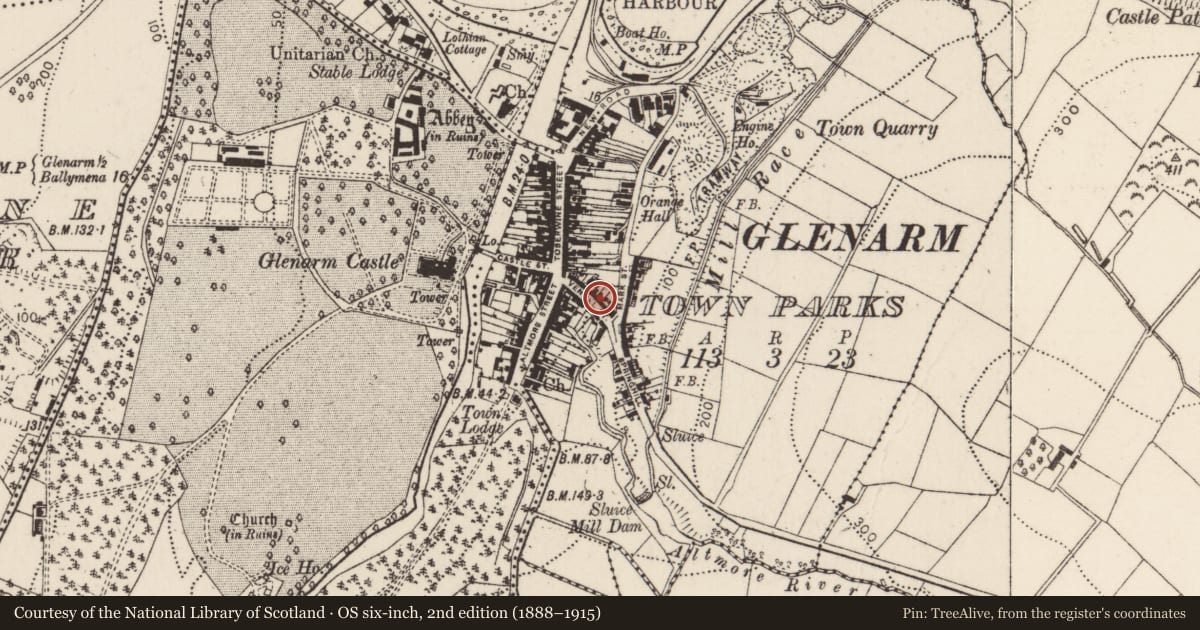 Ordnance Survey six-inch map, 2nd edition (1888–1915) covering the location of 18 The Vennel, Glenarm Town Parks, Mid and East Antrim, with a pin at the register's coordinates