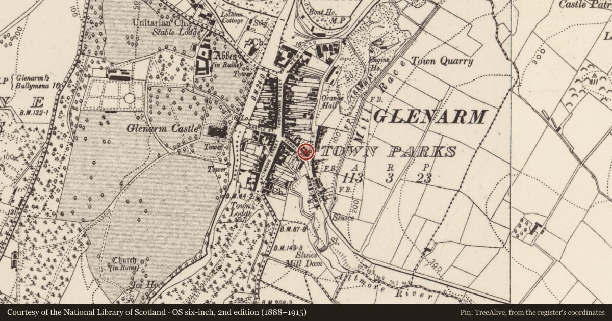 Ordnance Survey six-inch map, 2nd edition (1888–1915) covering the location of 24 The Vennel, Glenarm Town Parks, Mid and East Antrim, with a pin at the register's coordinates