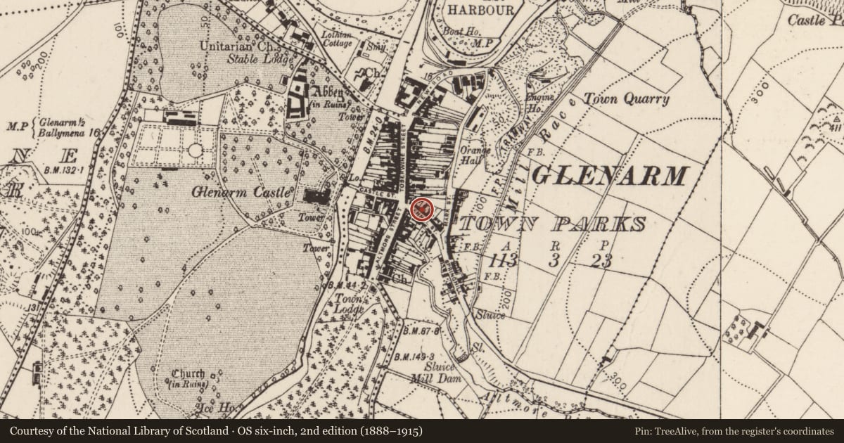 Ordnance Survey six-inch map, 2nd edition (1888–1915) covering the location of 12 The Vennel, Glenarm Town Parks, Mid and East Antrim, with a pin at the register's coordinates
