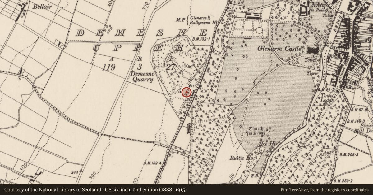 Ordnance Survey six-inch map, 2nd edition (1888–1915) covering the location of Remains of lime kilns, Demesne upper, Mid and East Antrim, with a pin at the register's coordinates