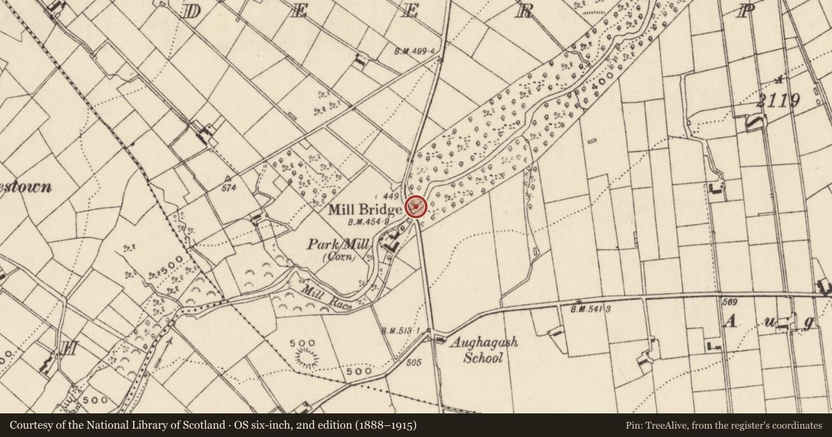 Ordnance Survey six-inch map, 2nd edition (1888–1915) covering the location of Mill Bridge, Deer Park Farms, Mid and East Antrim, with a pin at the register's coordinates