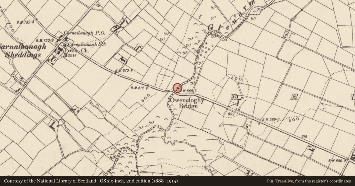 Ordnance Survey six-inch map, 2nd edition (1888–1915) covering the location of Owencloghy Bridge, Deer Park Farms, Mid and East Antrim, with a pin at the register's coordinates