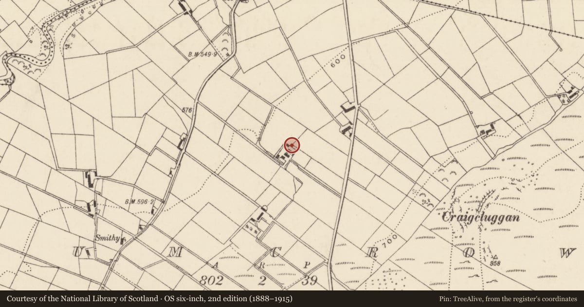 Ordnance Survey six-inch map, 2nd edition (1888–1915) covering the location of House at 53 Deerpark Road, Drumcrow, Mid and East Antrim, with a pin at the register's coordinates