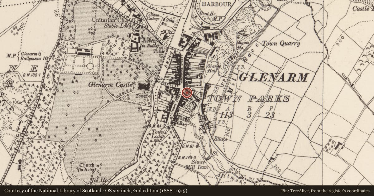 Ordnance Survey six-inch map, 2nd edition (1888–1915) covering the location of 5 The Vennel, Glenarm Town Parks, Mid and East Antrim, with a pin at the register's coordinates
