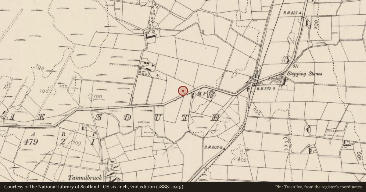 Ordnance Survey six-inch map, 2nd edition (1888–1915) covering the location of Milepost, Munie south, Mid and East Antrim, with a pin at the register's coordinates