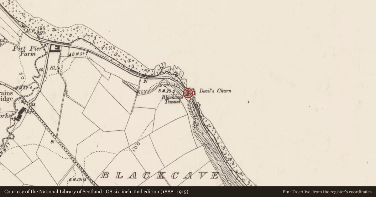 Ordnance Survey six-inch map, 2nd edition (1888–1915) covering the location of Blackcave Tunnel, Blackcave North, Mid and East Antrim, with a pin at the register's coordinates