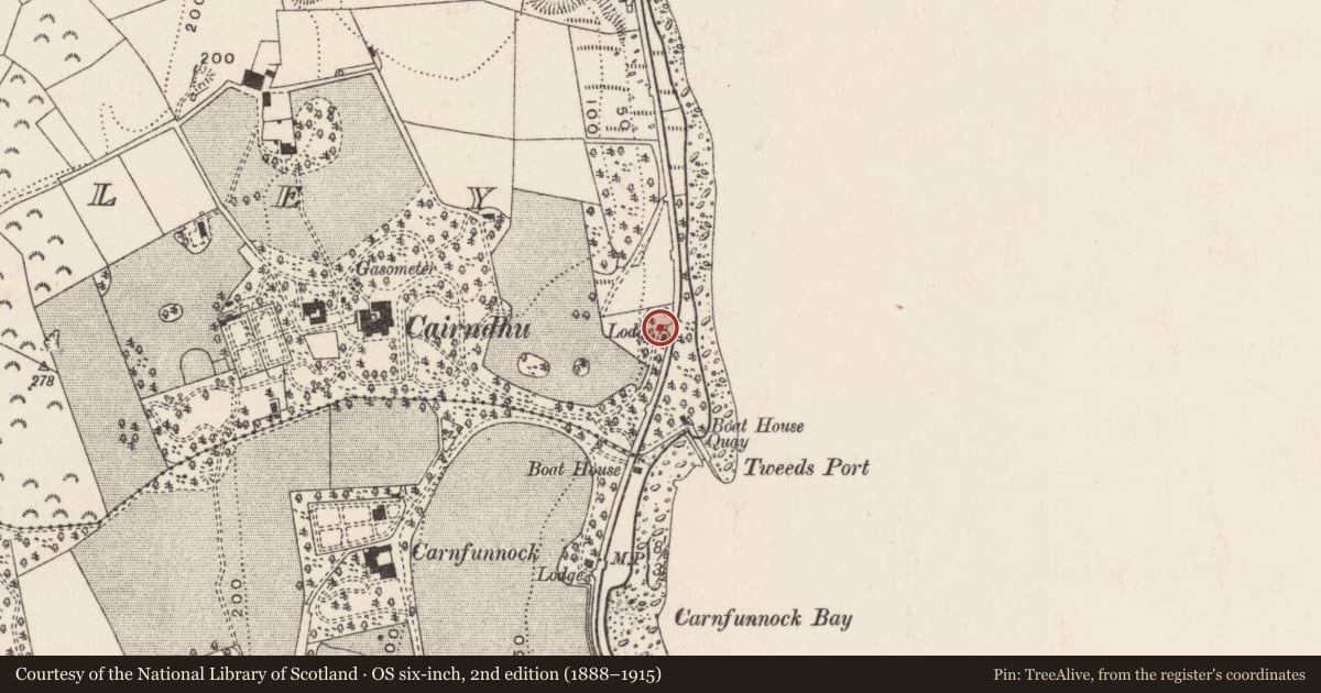 Ordnance Survey six-inch map, 2nd edition (1888–1915) covering the location of 186 Coast Road, Ballygalley, Mid and East Antrim, with a pin at the register's coordinates