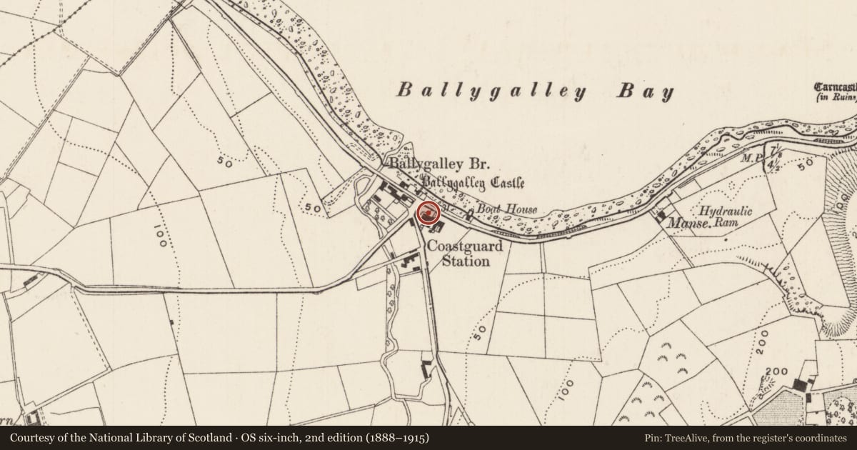 Ordnance Survey six-inch map, 2nd edition (1888–1915) covering the location of 2 Coastguard Cottages, Ballygalley, Mid and East Antrim, with a pin at the register's coordinates