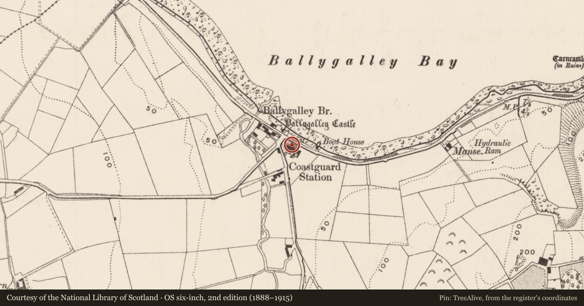Ordnance Survey six-inch map, 2nd edition (1888–1915) covering the location of 3 Coastguard Cottages, Ballygalley, Mid and East Antrim, with a pin at the register's coordinates
