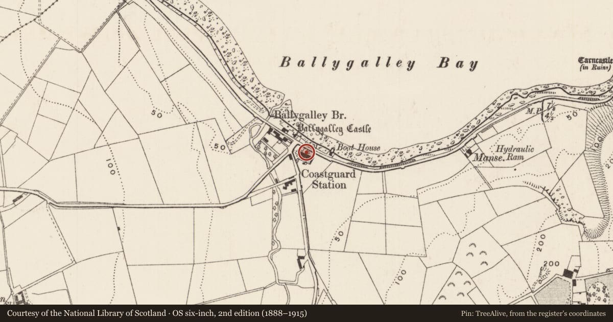 Ordnance Survey six-inch map, 2nd edition (1888–1915) covering the location of 4 Coastguard Cottages, Ballygalley, Mid and East Antrim, with a pin at the register's coordinates