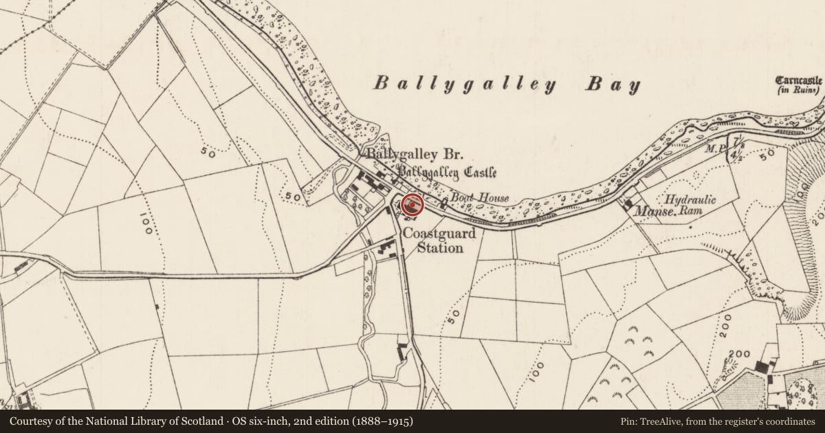 Ordnance Survey six-inch map, 2nd edition (1888–1915) covering the location of 5 Coastguard Cottages, Ballygalley, Mid and East Antrim, with a pin at the register's coordinates