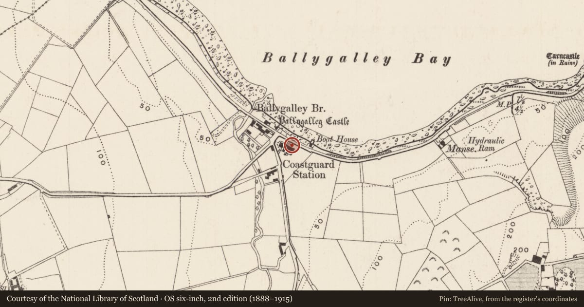 Ordnance Survey six-inch map, 2nd edition (1888–1915) covering the location of 6 Coastguard Cottages, Ballygalley, Mid and East Antrim, with a pin at the register's coordinates